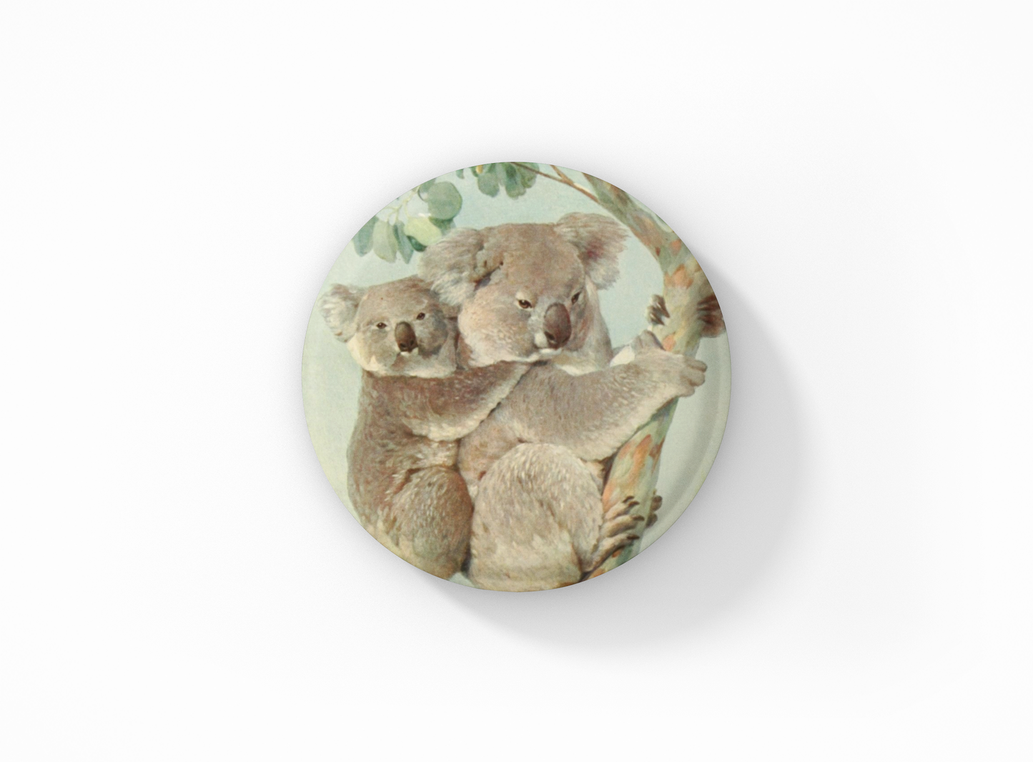 NatureCuts - Koala Bear Pin Button