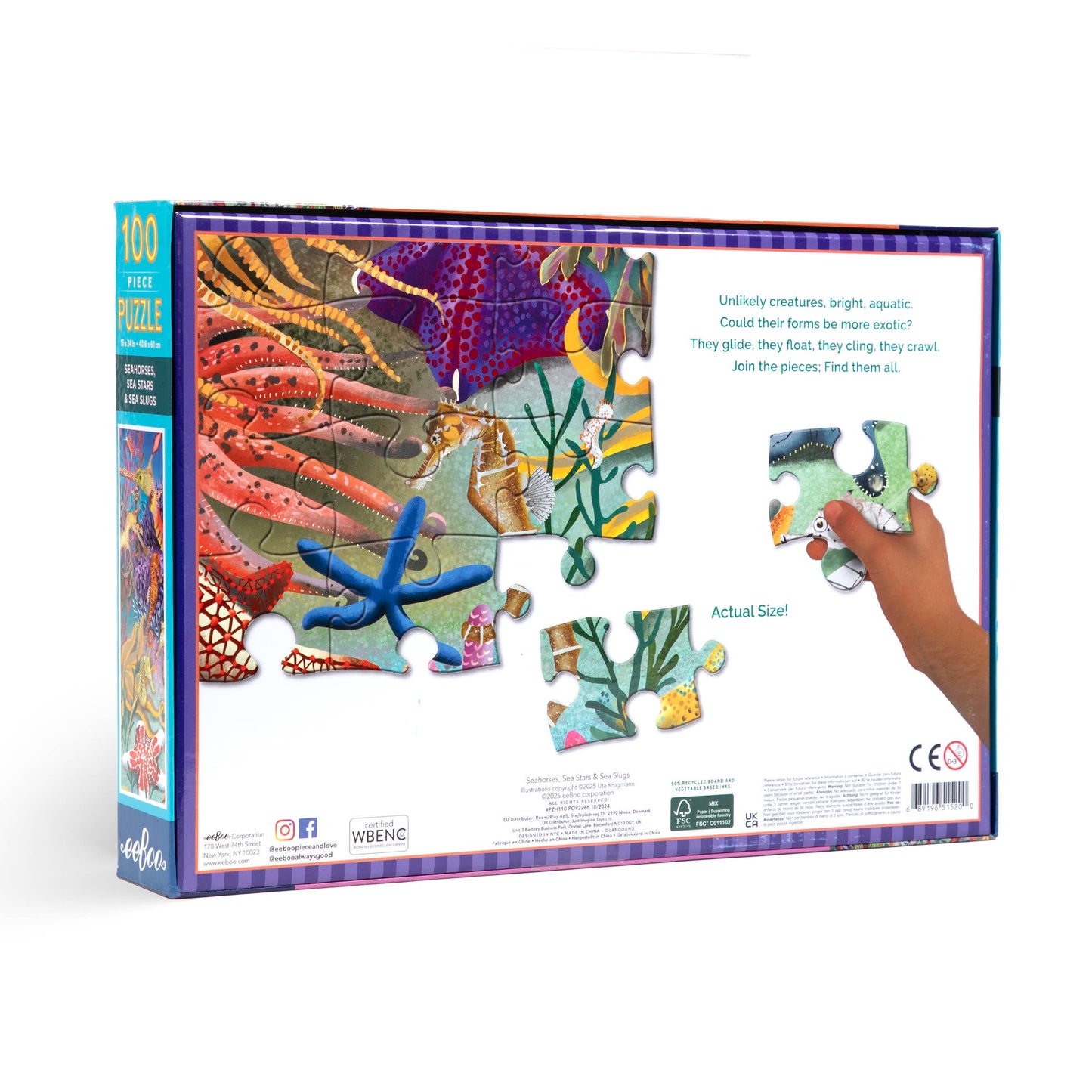 eeBoo - Seahorses, Sea Stars & Sea Slugs 100 Piece Rectangle Puzzle