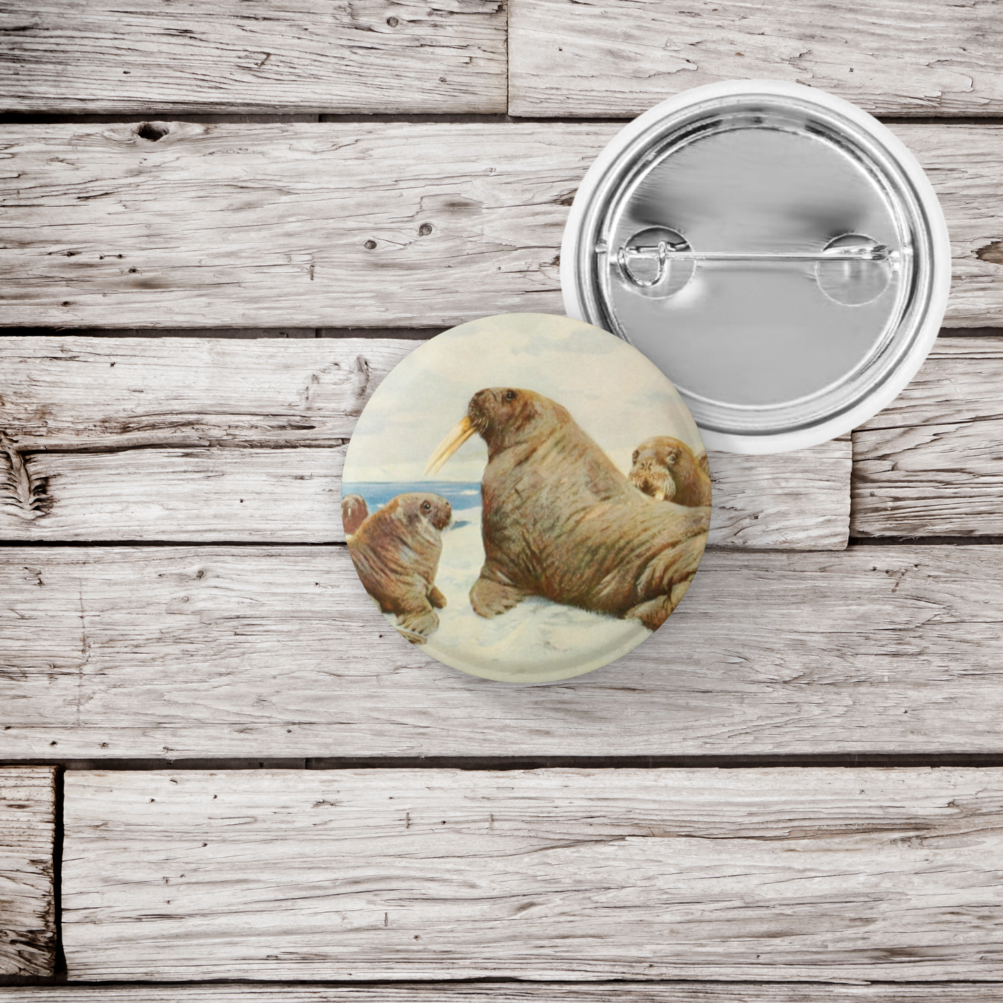 NatureCuts - Walrus Pin Button