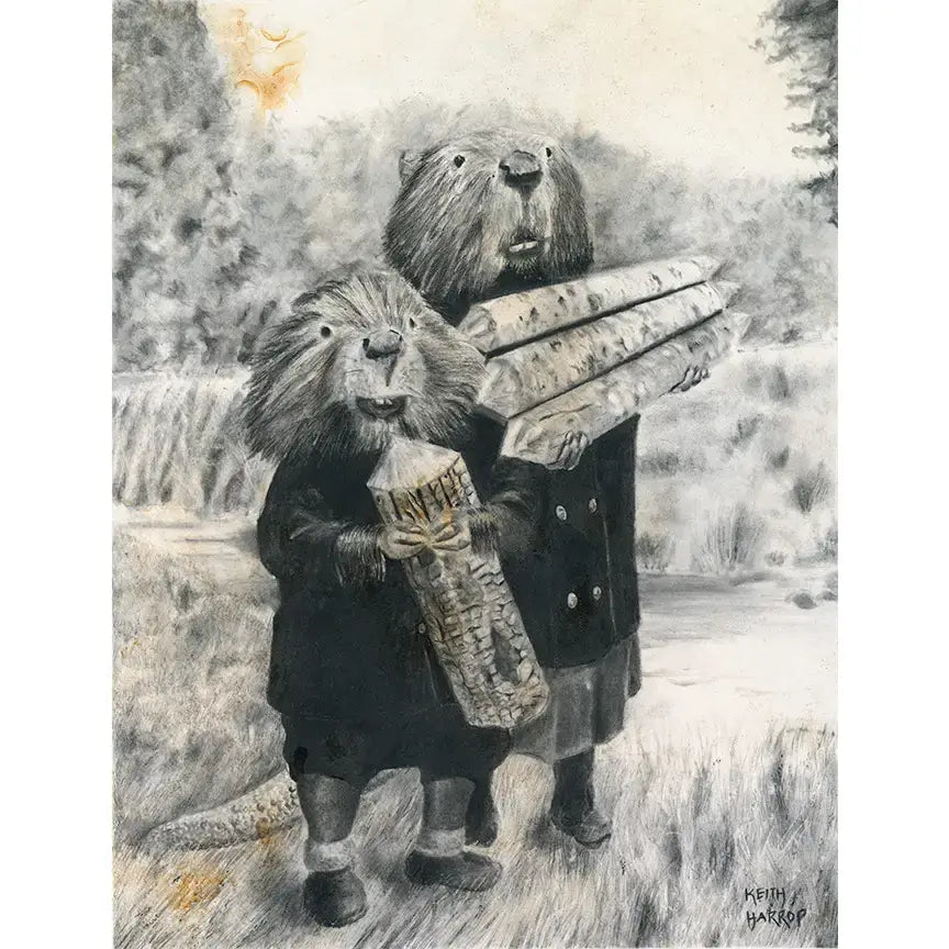 Keith Harrop - Pencil Art - Postcard #49 - Two Beavers (Siblings)