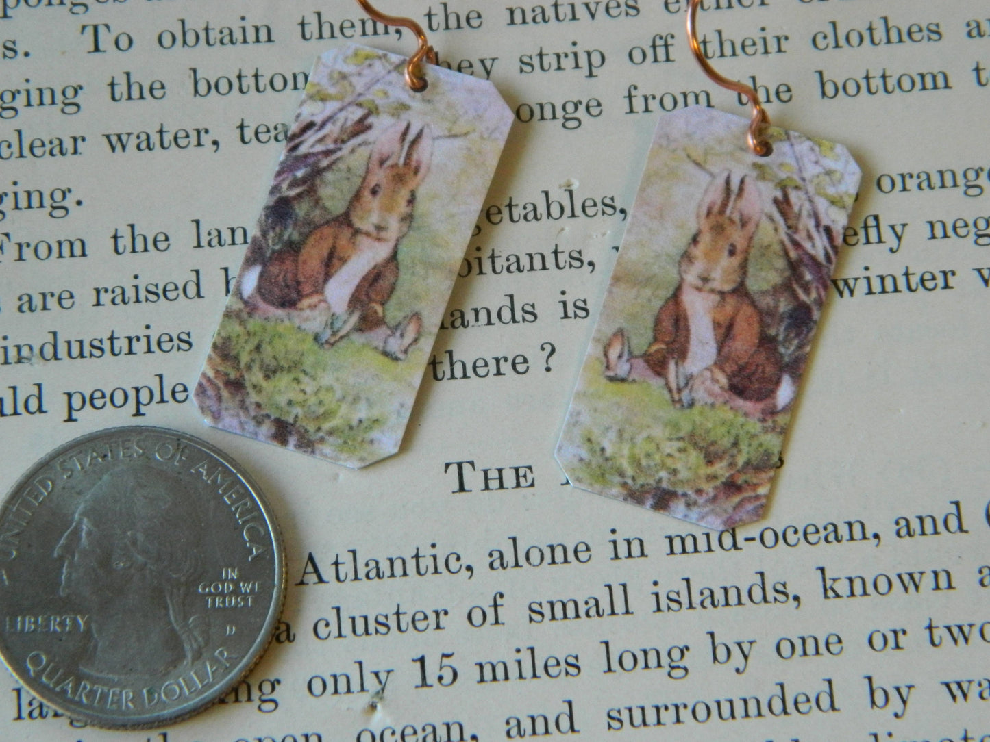 Sarah Collins Studio - Earrings Beatrix Potter Benjamin Bunny
