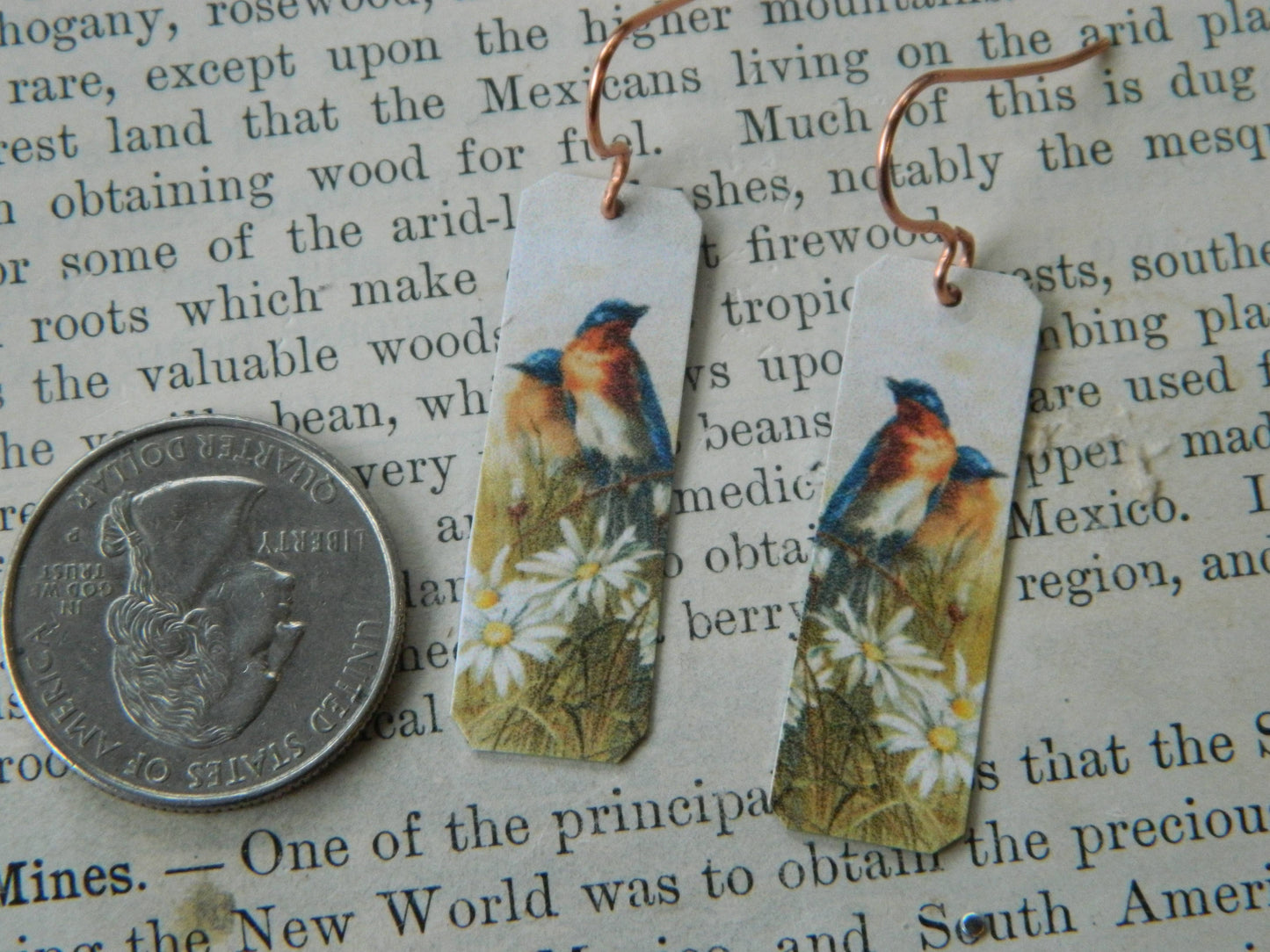 Sarah Collins Studio - Earrings Spring Bird with Daisies
