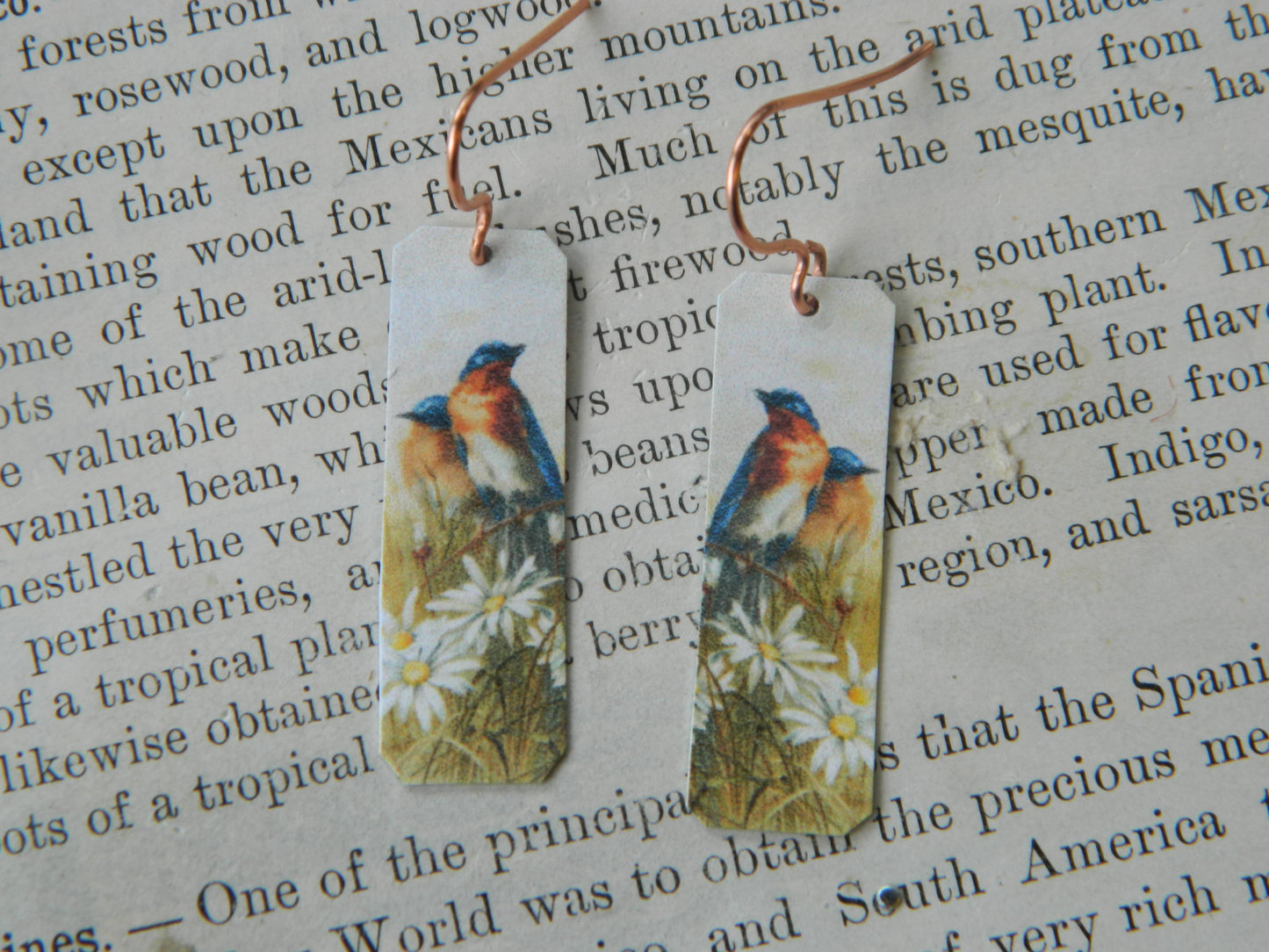 Sarah Collins Studio - Earrings Spring Bird with Daisies