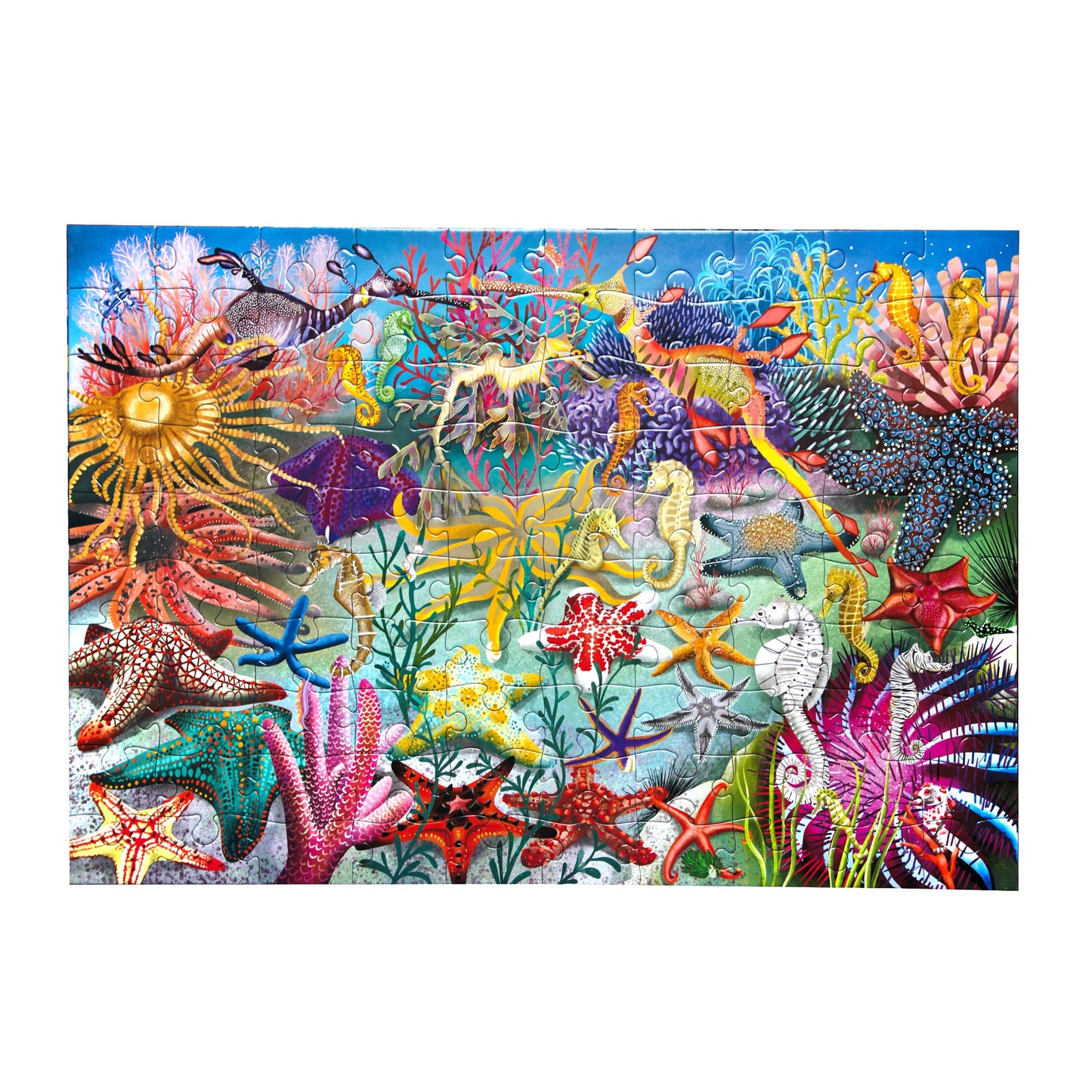 eeBoo - Seahorses, Sea Stars & Sea Slugs 100 Piece Rectangle Puzzle