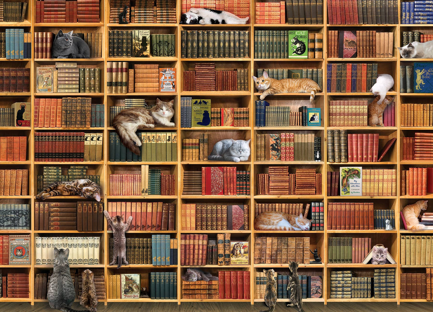 Outset Games and Cobble Hill Puzzles - The Cat Library 1000pc puzzle