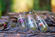 Load image into Gallery viewer, Enchanted Leaves - 20&quot; Daisy Terrarium Garden Bottle Necklace: Light Pink Flower
