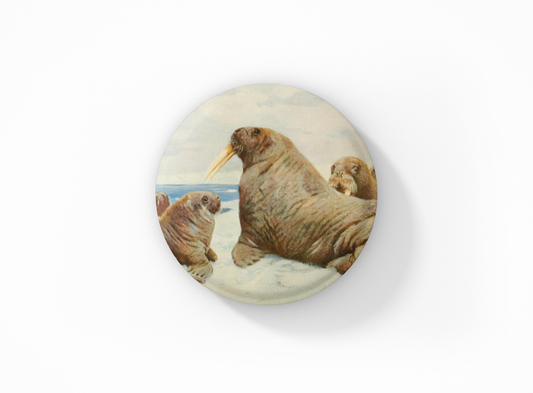 NatureCuts - Walrus Pin Button