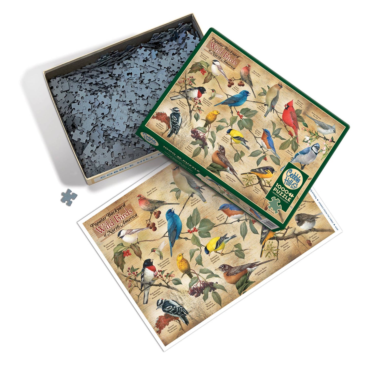 Outset Games and Cobble Hill Puzzles - Popular Backyard Wild Birds of North America 1000pc puzzle