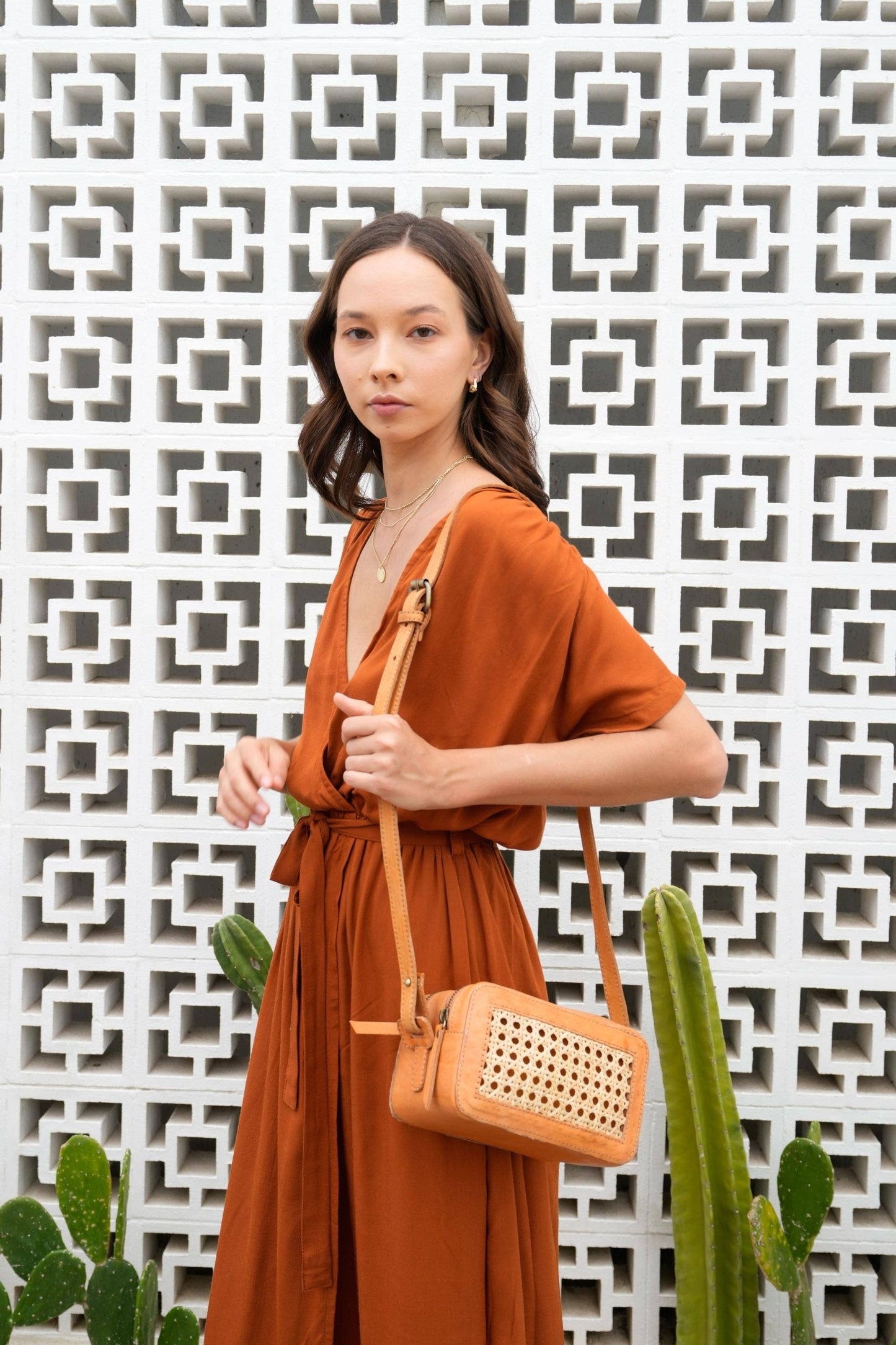 Pink Haley - Tan Leather and Cane Crossbody Bag Tan