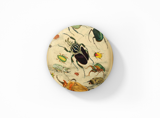 NatureCuts - Beetle Pin Button