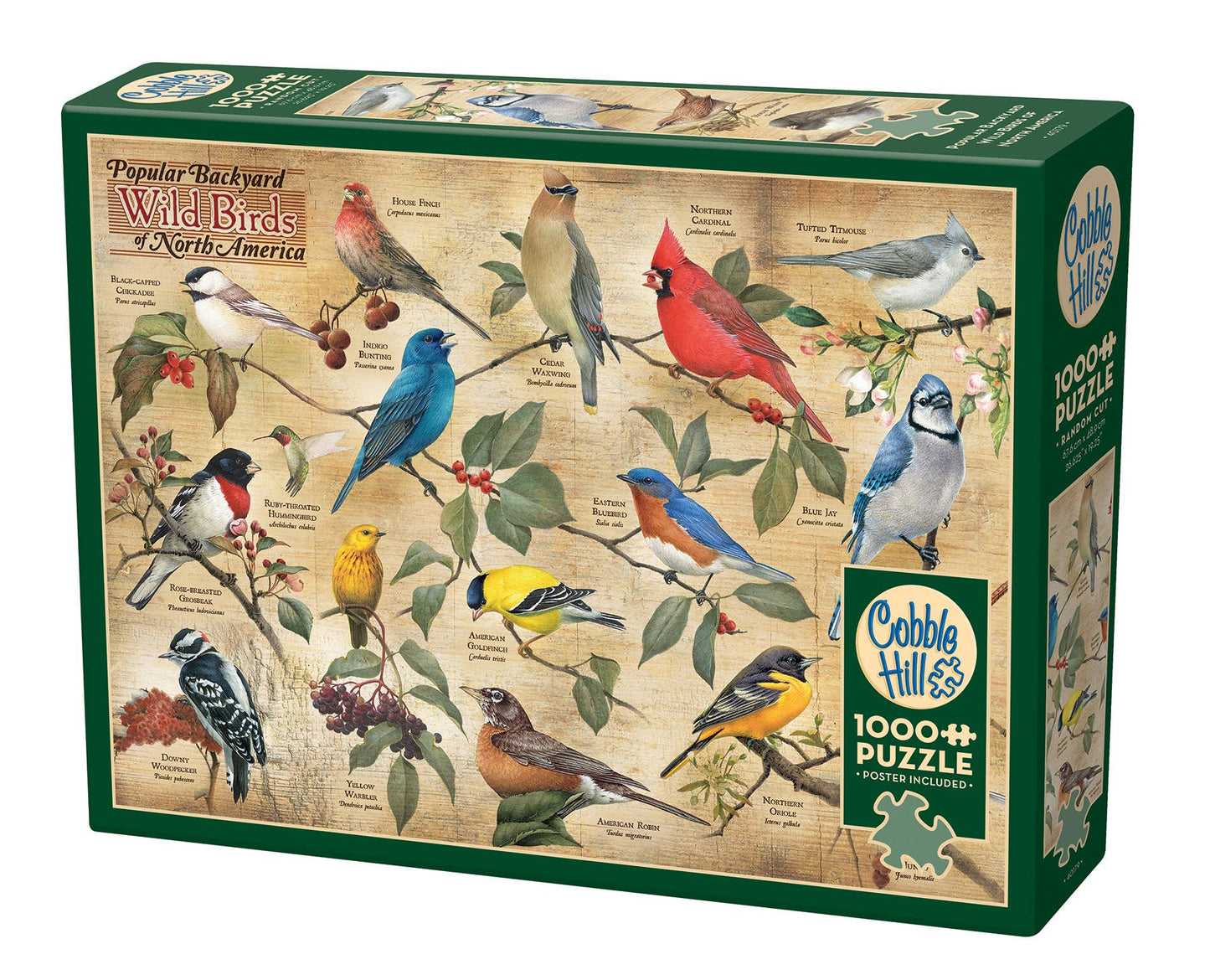 Outset Games and Cobble Hill Puzzles - Popular Backyard Wild Birds of North America 1000pc puzzle