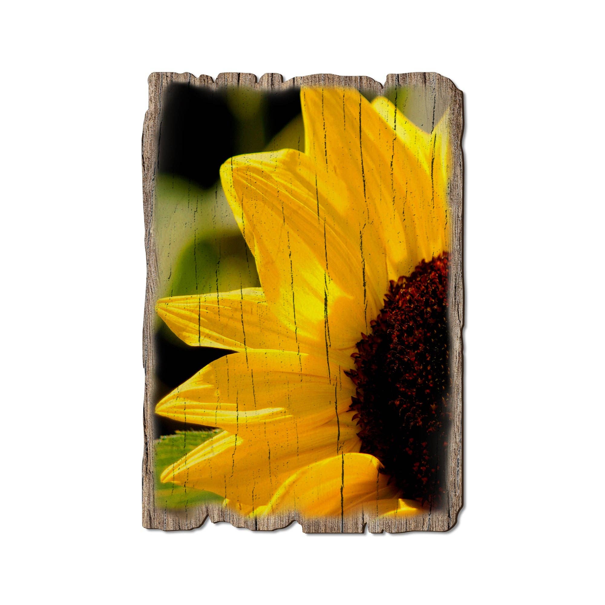 Daydream HQ - Yellow Sunflower - Wood Rustic Garden Postcards