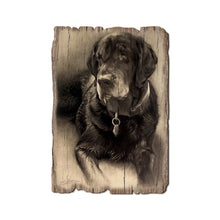 Load image into Gallery viewer, DaydreamHQ - Old Lab Dog - Wood Rustic Edge Postcards &amp; Magnets
