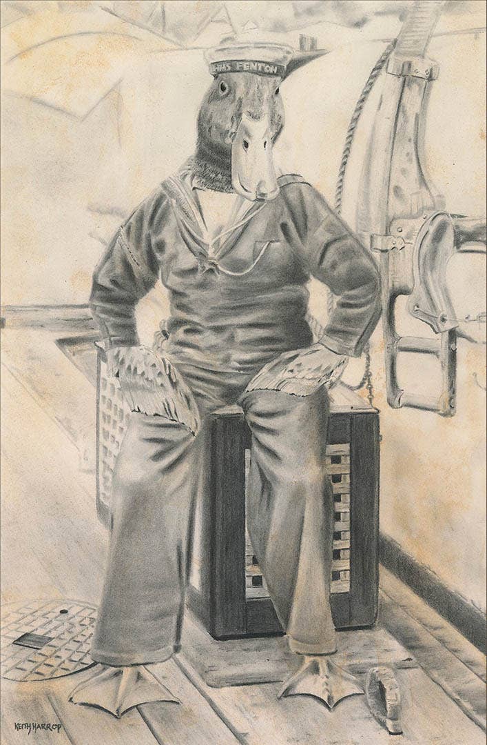Keith Harrop - Pencil Art - Postcard.  Sailor Duck.  