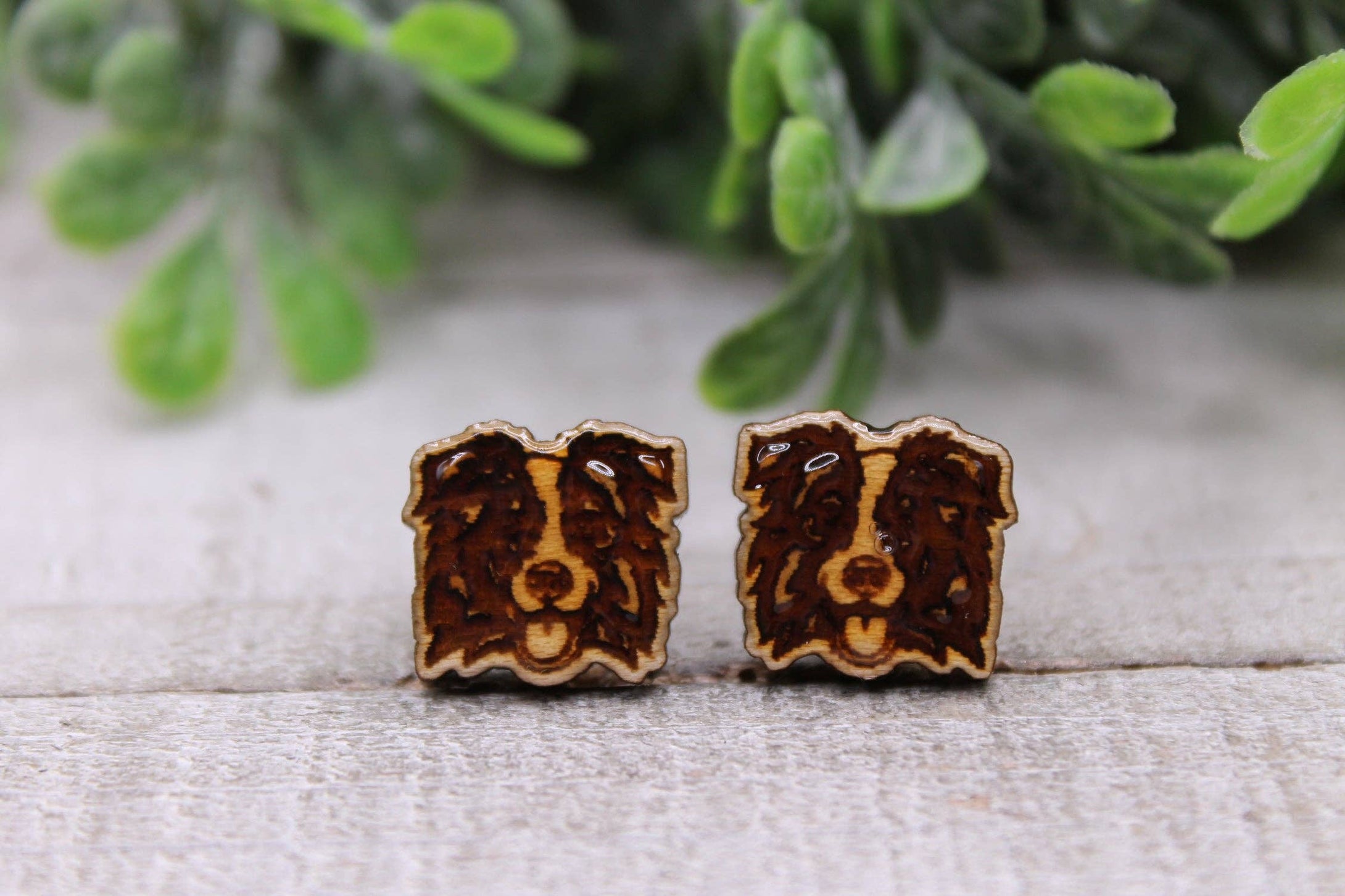 Hylidae Boutique Border Collie Dog Breed  Wood Stud Earrings