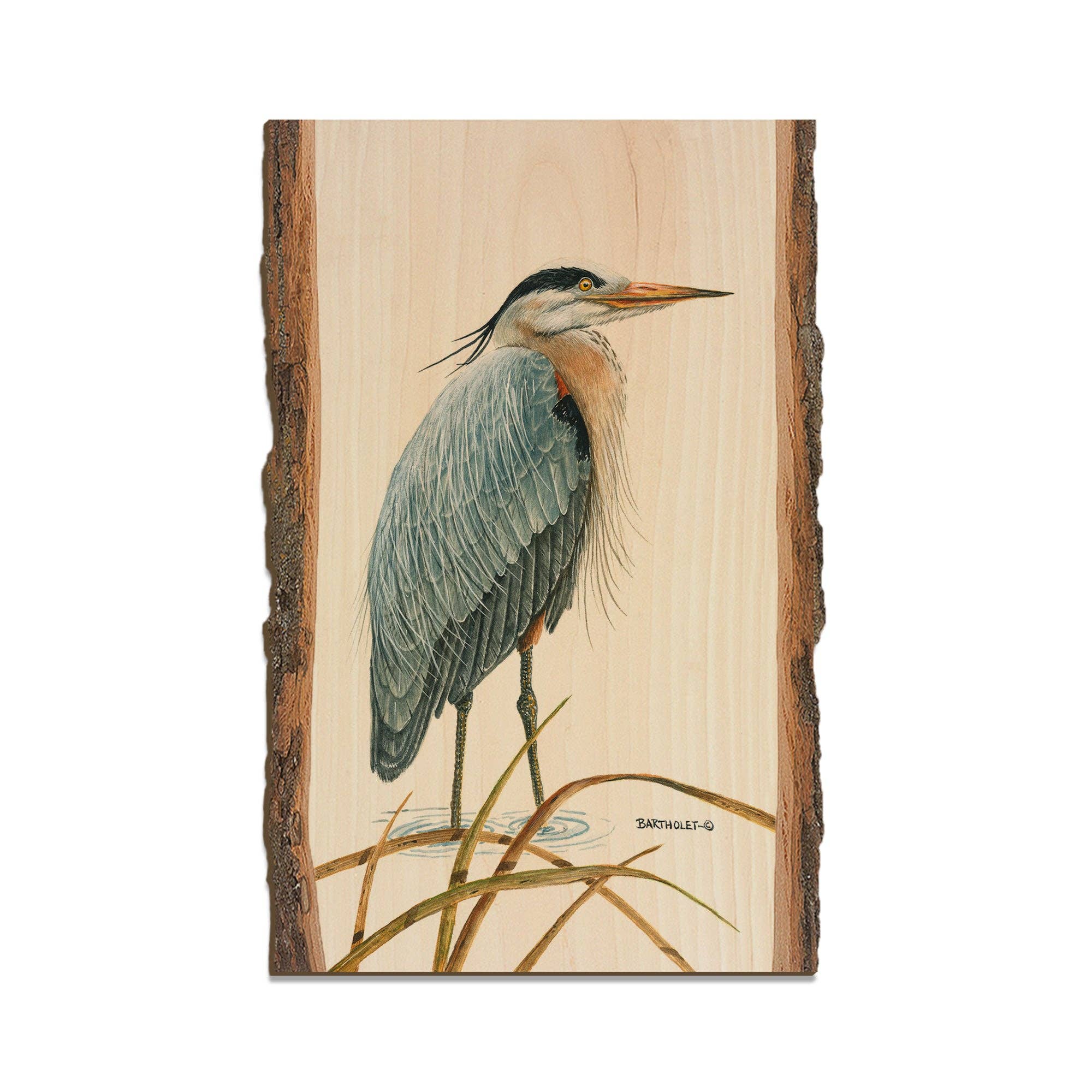 DaydreamHQ - Sentinel Heron - Wood Magnets