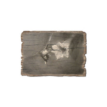 Load image into Gallery viewer, DaydreamHQ - Vintage Hummingbird - Rustic Edge Wood Postcards
