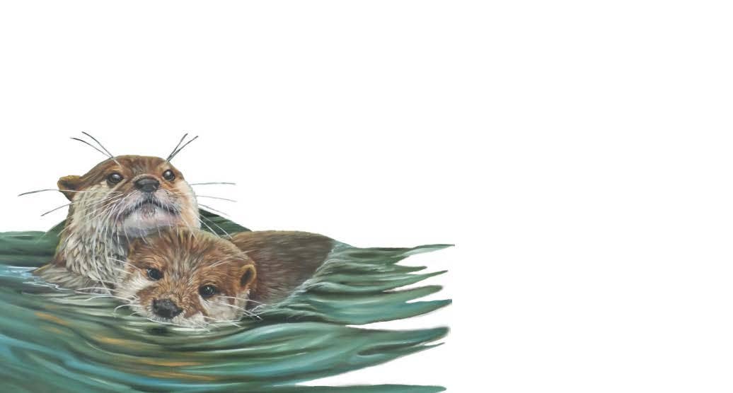 Forever Caroline LLC - Otters Tiny Cards