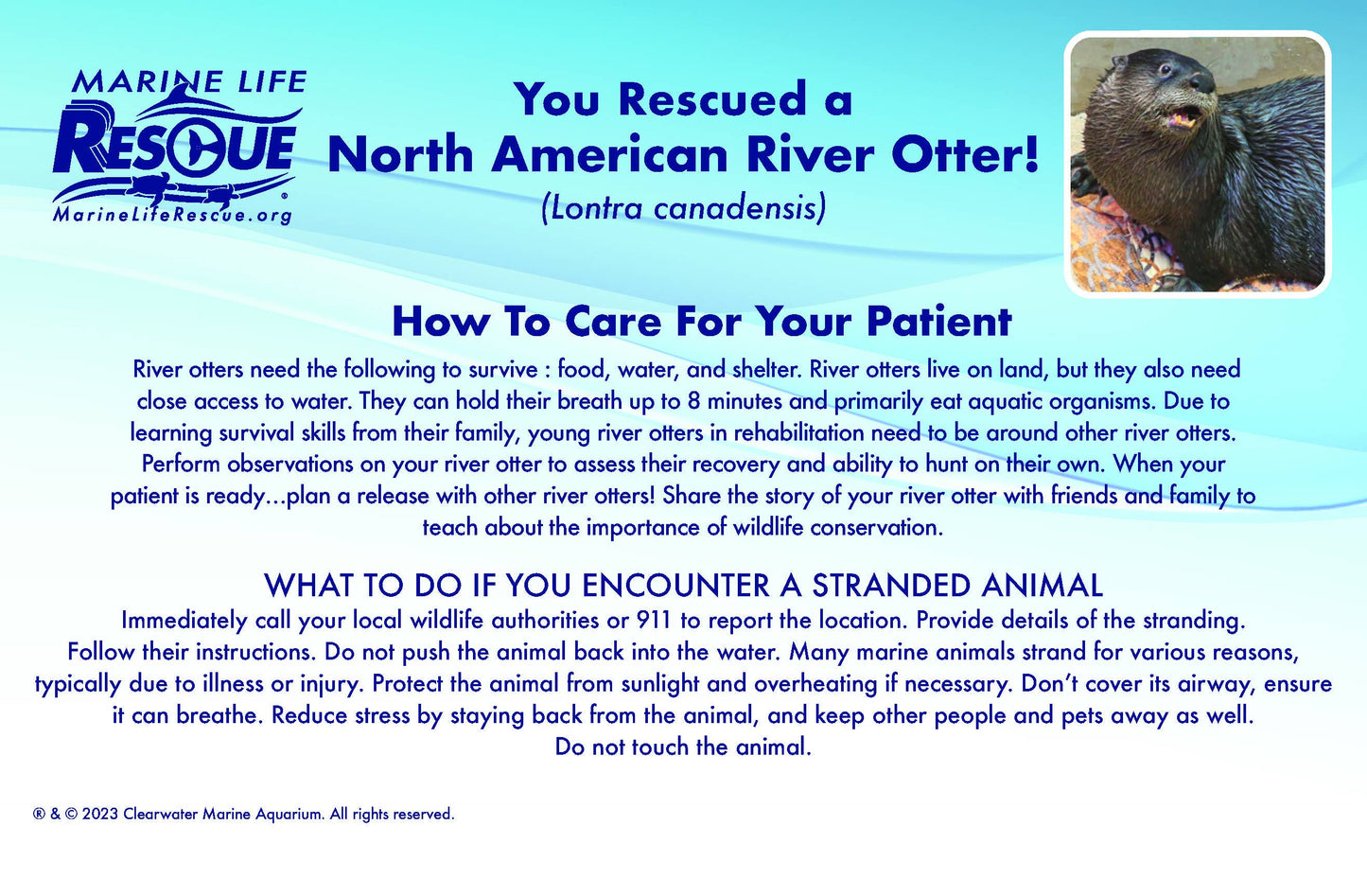 MARINE LIFE RESCUE PROJECT - River Otter Plush with Rescue Stretcher