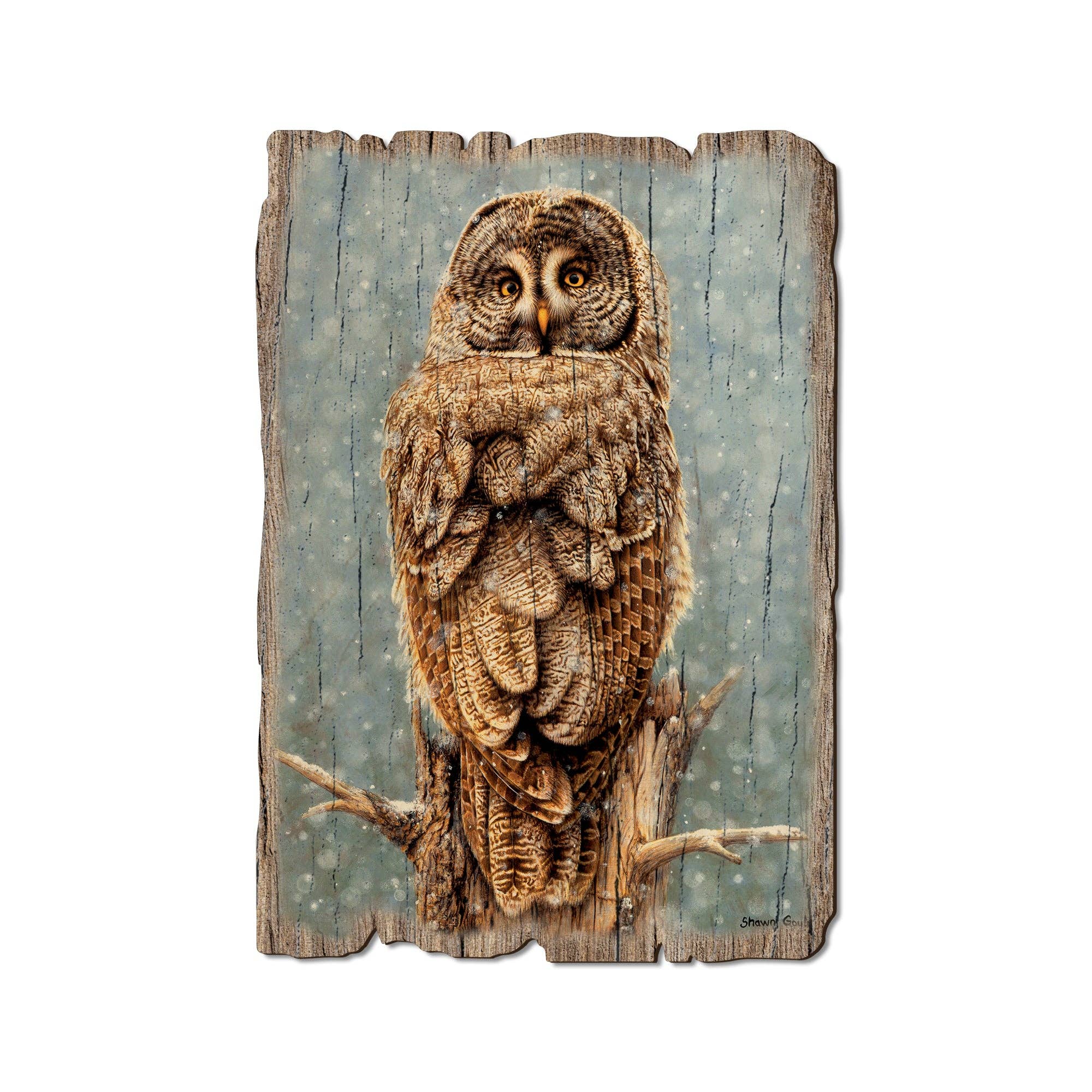 DaydreamHQ - Great Gray Owl - Wood Rustic Edge Postcards