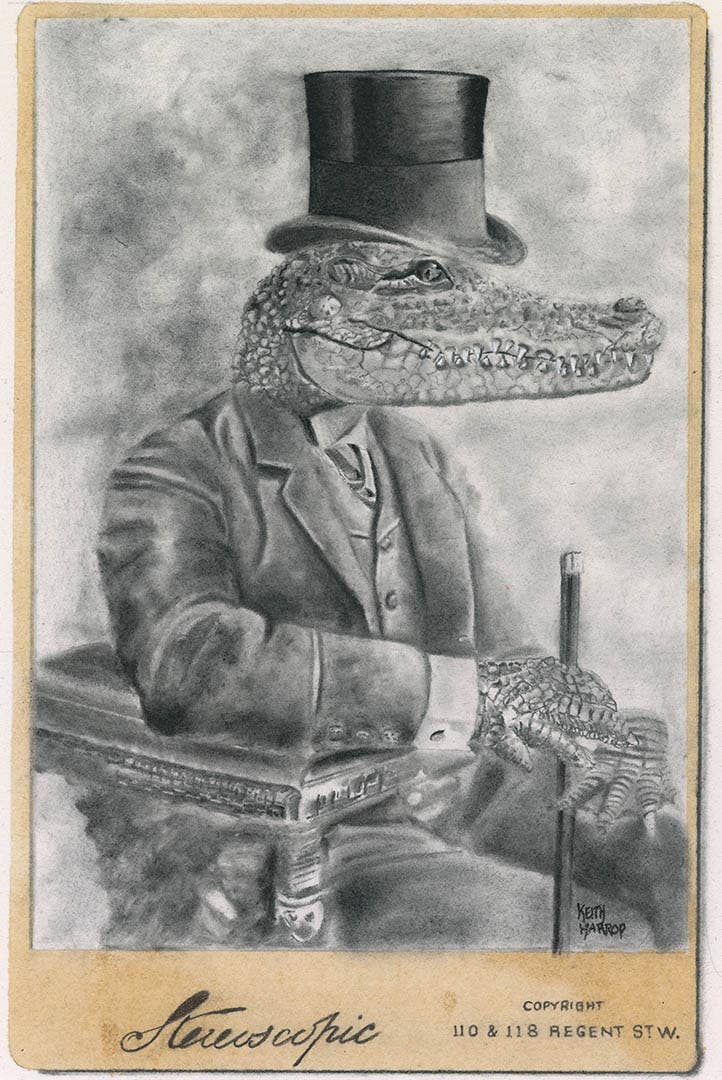 Keith Harrop - Pencil Art - Postcard. Alligator
