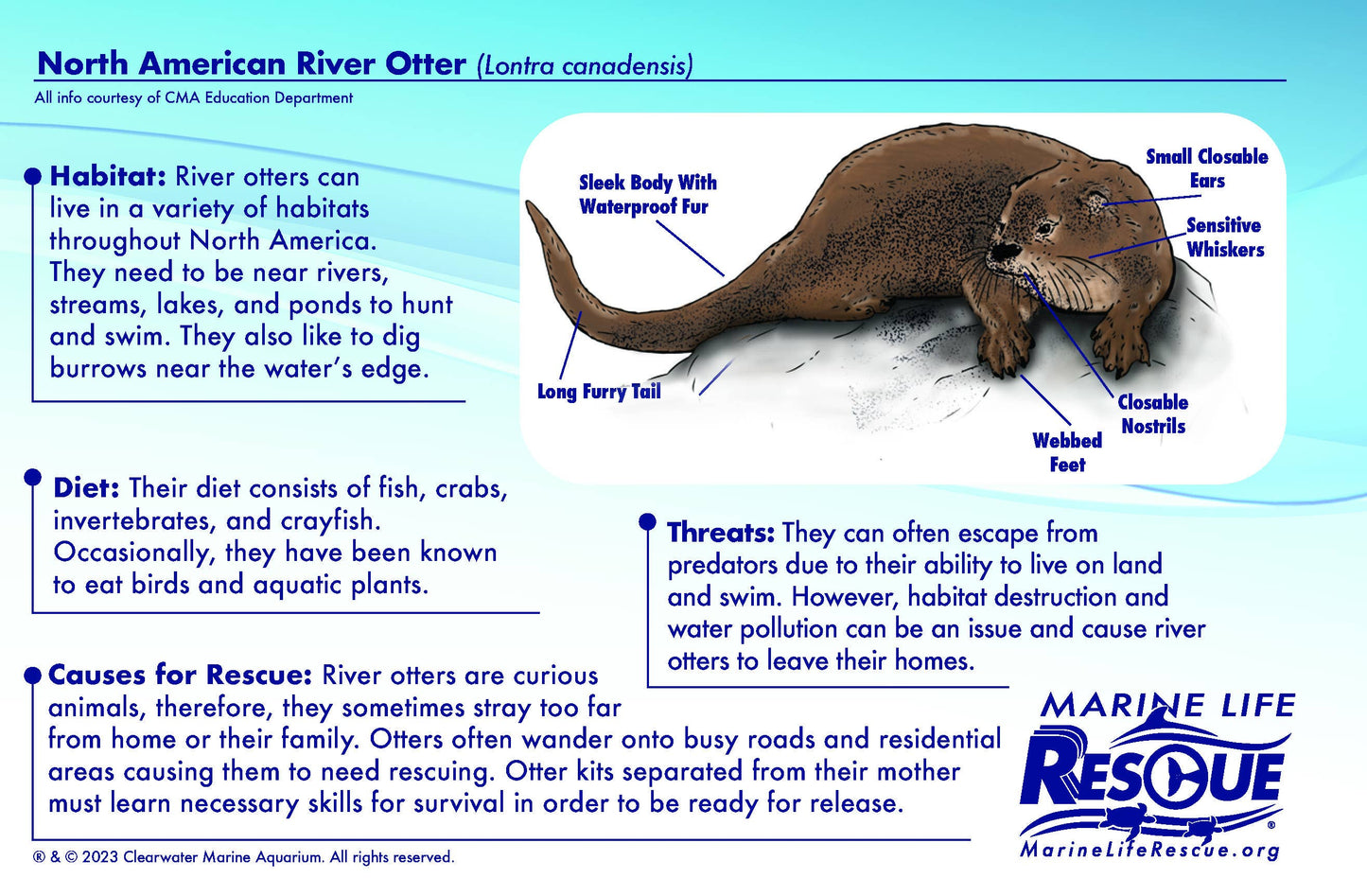 MARINE LIFE RESCUE PROJECT - River Otter Plush with Rescue Stretcher