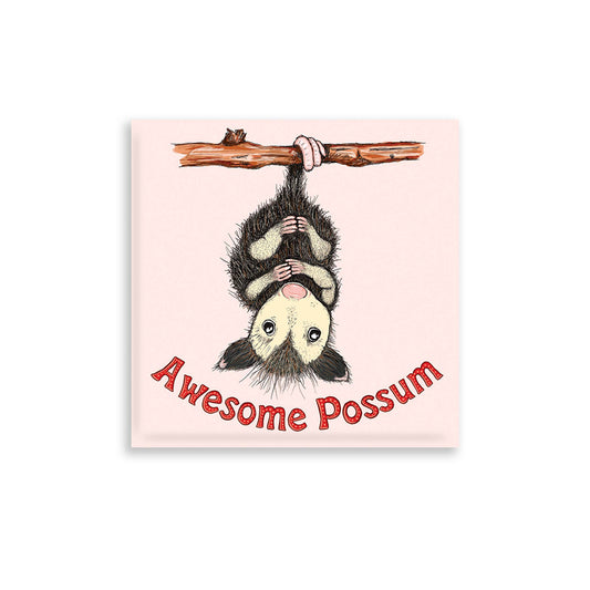Nice Enough Stickers - Awesome Possum Magnet
