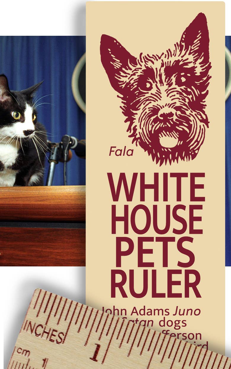 Channel Craft - White House Pets Ruler