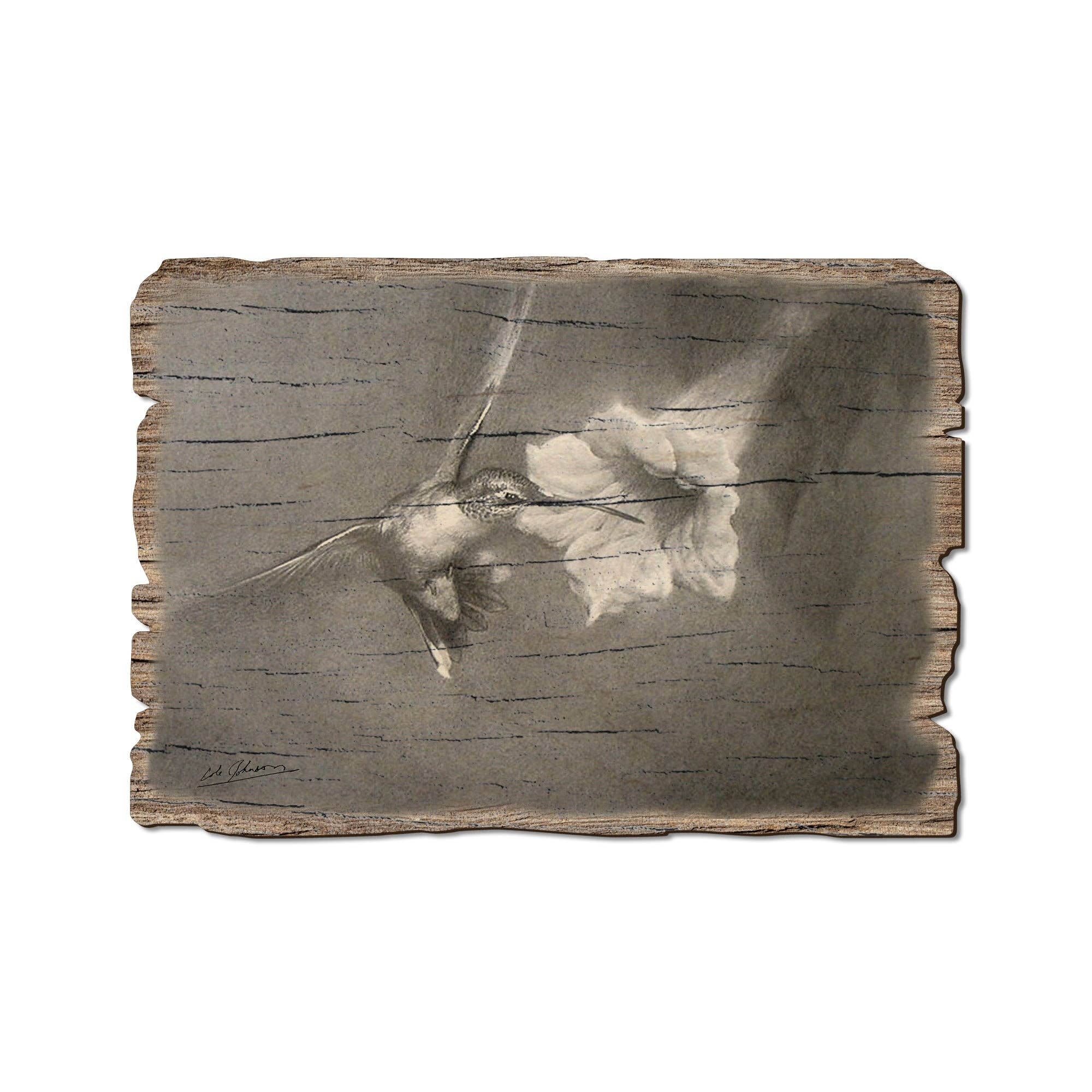 DaydreamHQ - Vintage Hummingbird - Rustic Edge Wood Postcards