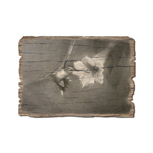 Load image into Gallery viewer, DaydreamHQ - Vintage Hummingbird - Rustic Edge Wood Postcards
