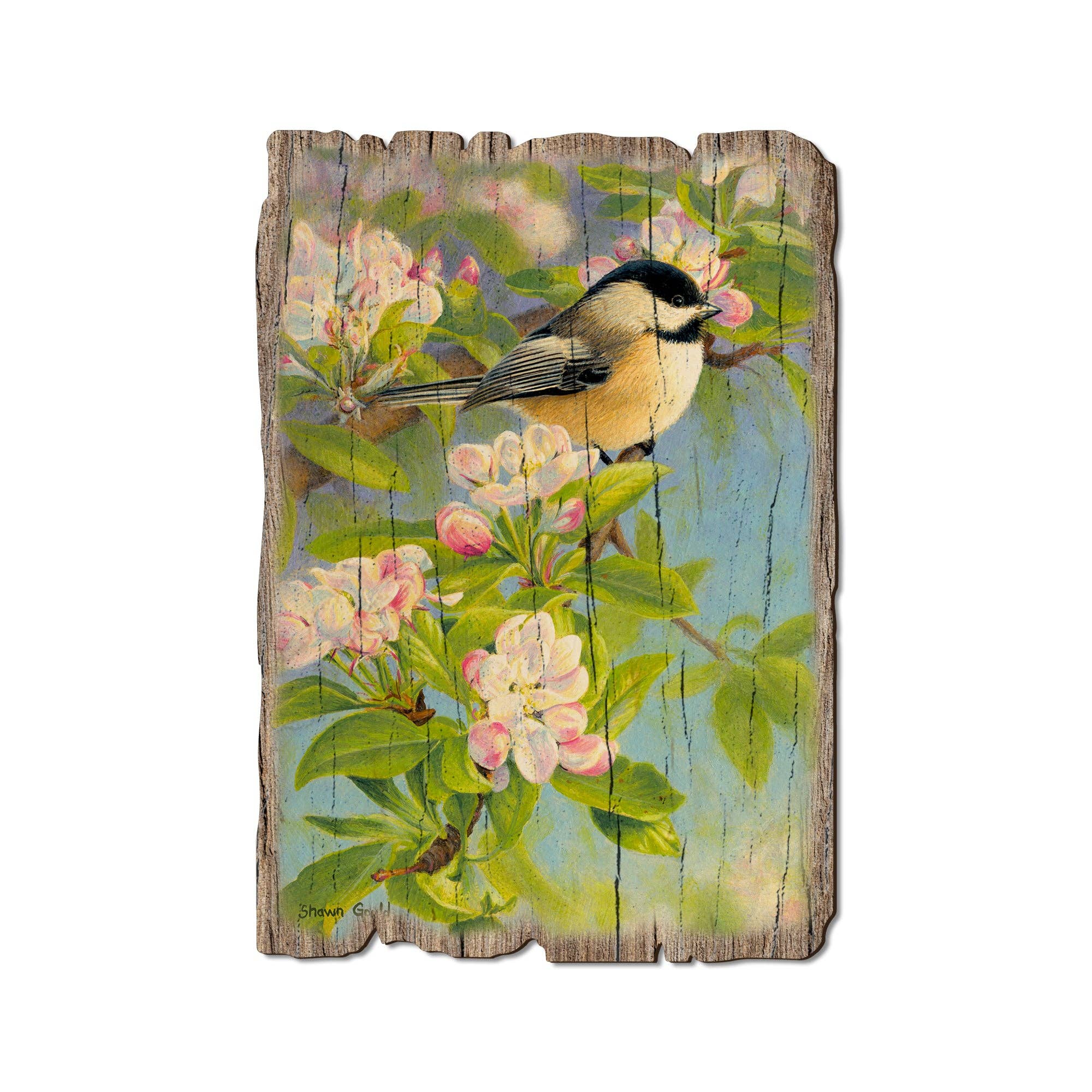 DaydreamHQ - Chickadee Blossoms - Rustic Edge Wood Postcard