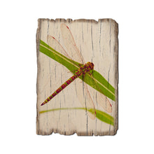 Load image into Gallery viewer, DaydreamHQ - Green Dragonfly -  Rustic Wood Insect Postcards
