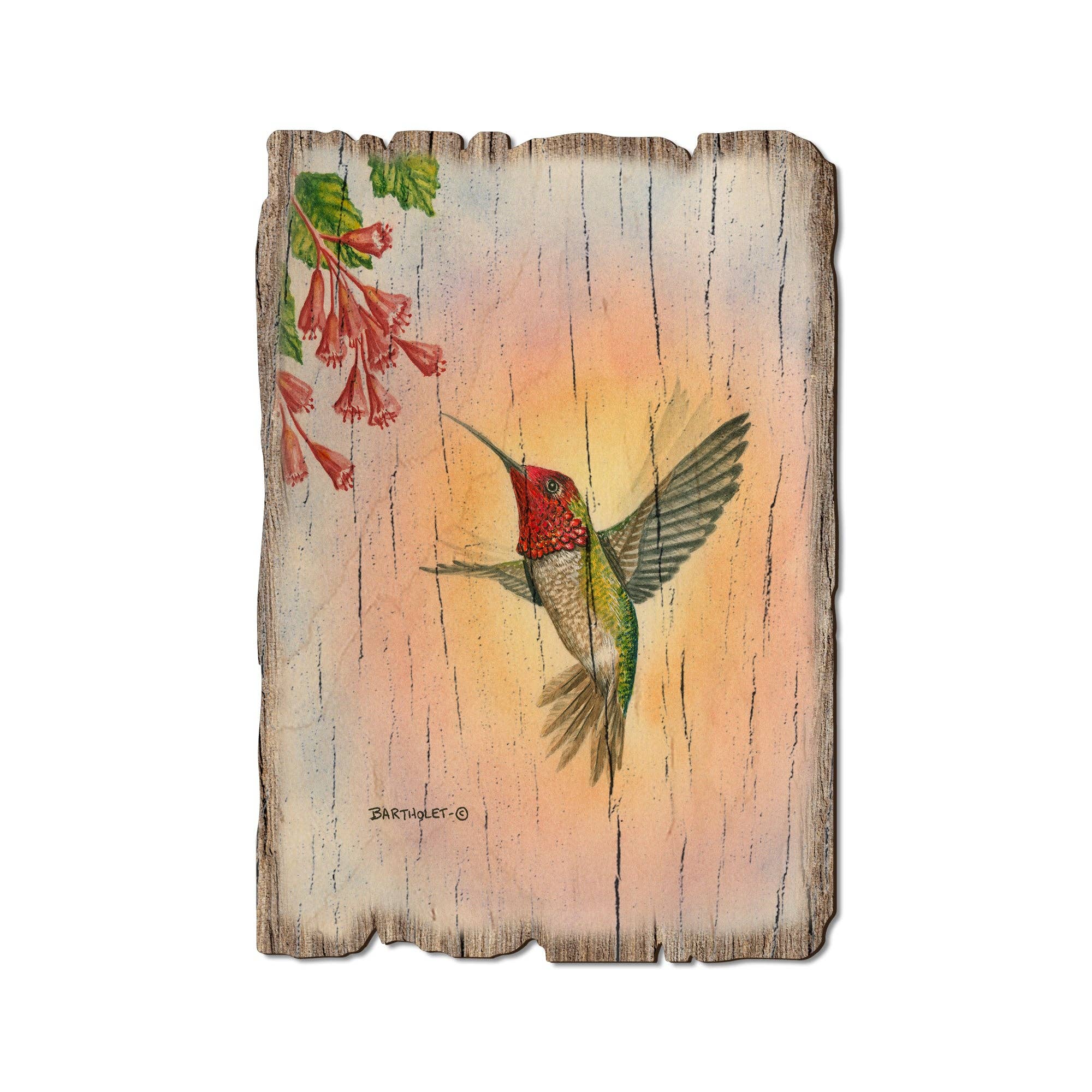 DaydreamHQ - Anna Hummingbird - Rustic Edge Wood Postcard