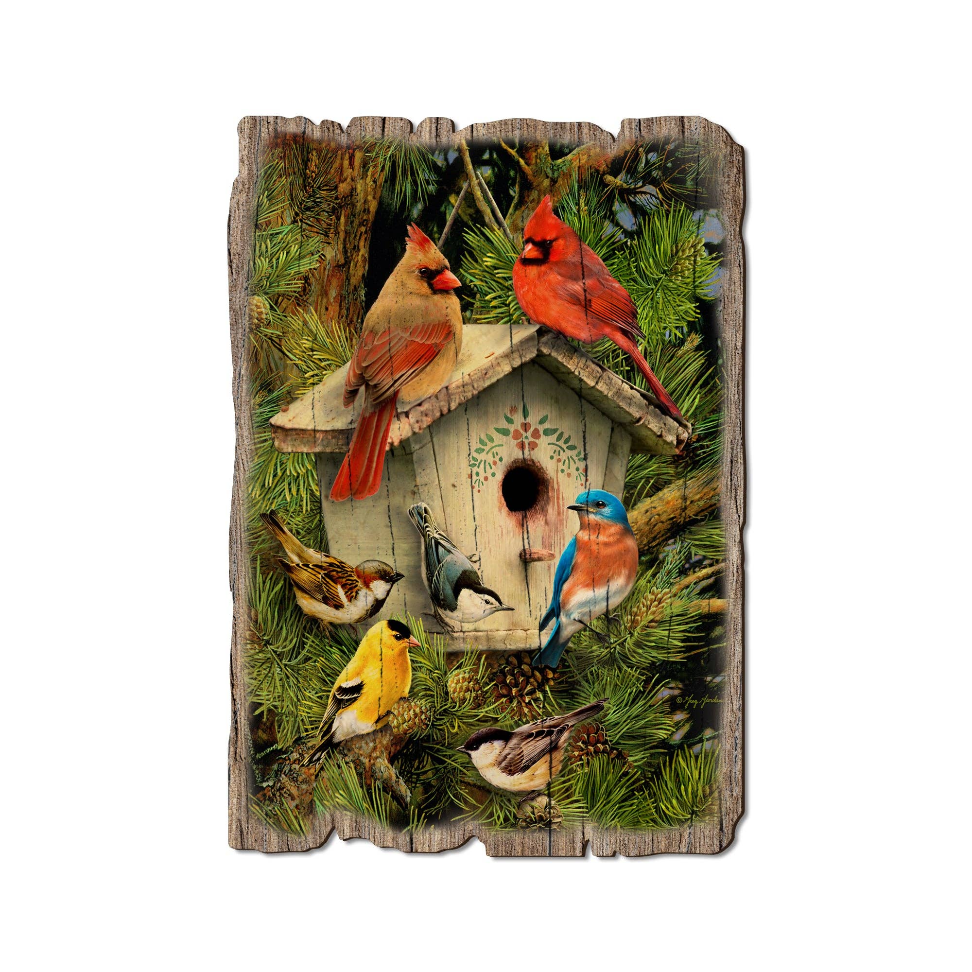 DaydreamHQ - Birdhouse - Rustic Edge Wood Postcards