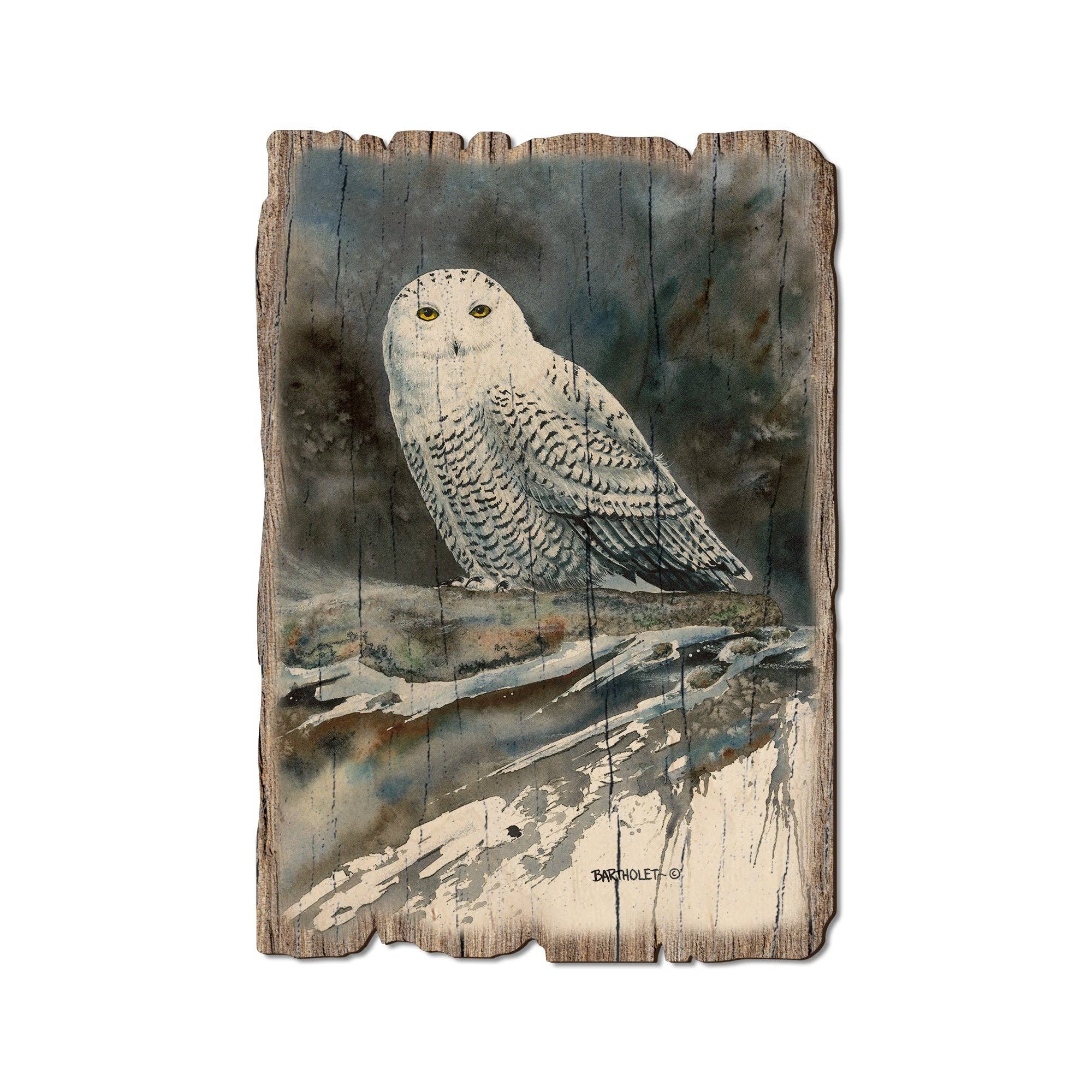 DaydreamHQ - Arctic Ghost Owl -Rustic Edge Wood Postcards